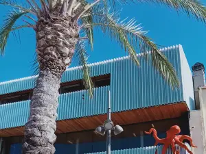 Aquarium de Banyuls-sur-Mer - Biodiversarium