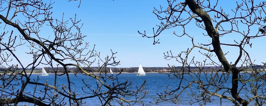 Wrabness Nature Reserve