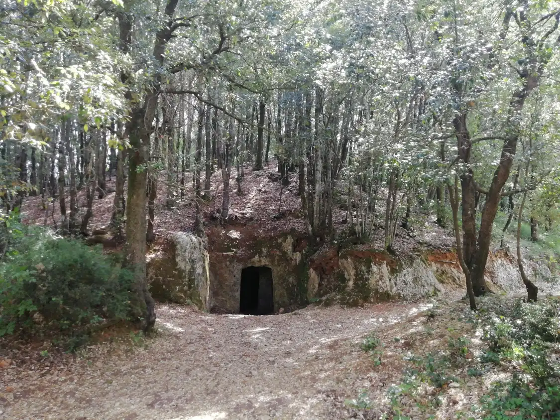 Hotel dekat Tumulo Etrusco Di Mucellena