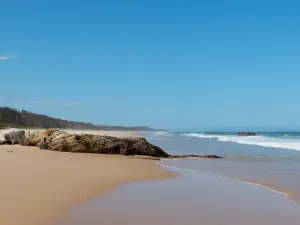 Bongil Bongil National Park