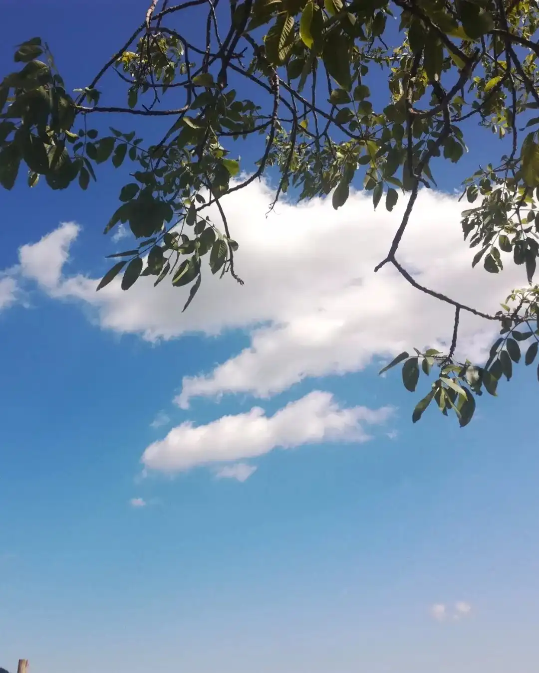 Toccare il Cielo 주변 호텔