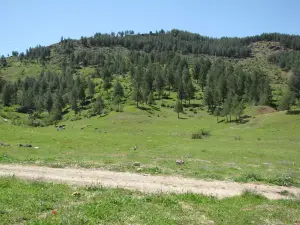 Hz. Veysel Karani Tabiat Parki