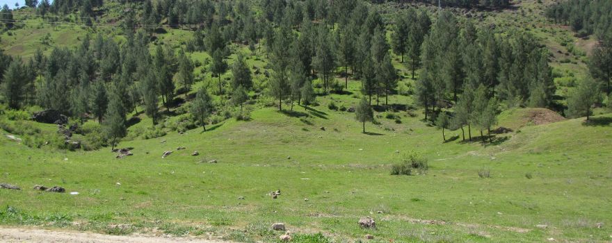 Baykan