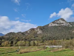 Illegio/Dieç