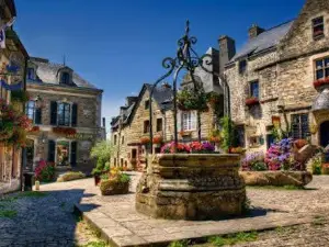Loir