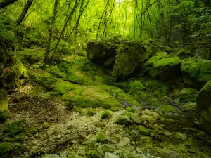 Cascata Rio