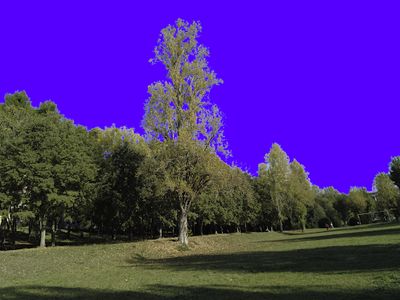 Parco comunale Termoli