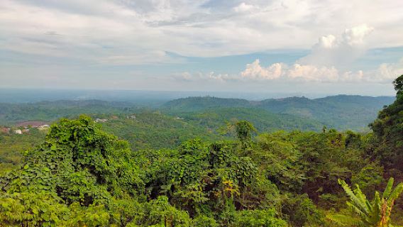 Wisata Alam Gunung Rambutan