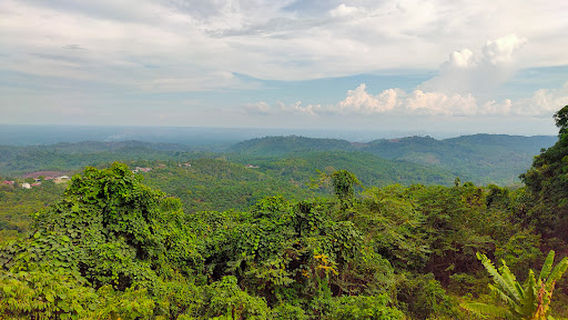 Wisata Alam Gunung Rambutan