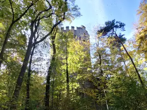 Herzberg Stadtwald Peine