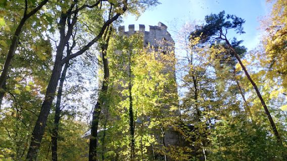 Herzberg Stadtwald Peine