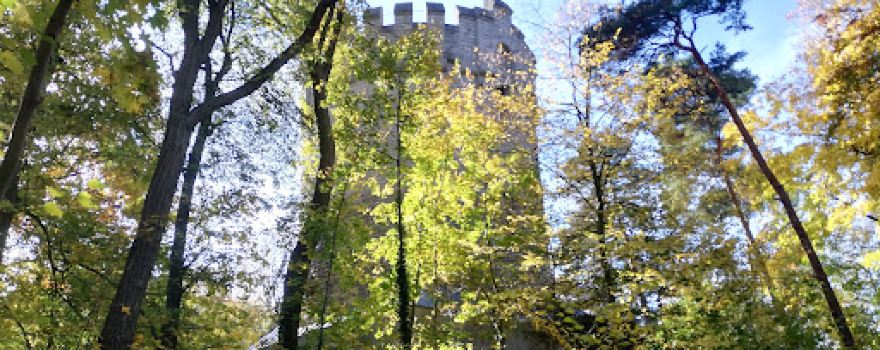 Herzberg Stadtwald Peine