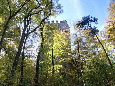 Herzberg Stadtwald Peine