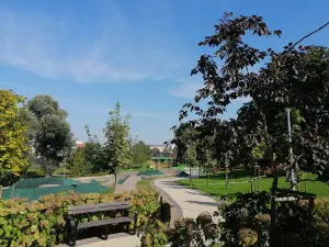 Park Miejski "Księży Lasek"