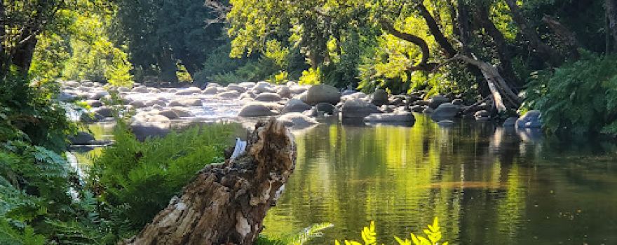Source Thermale des Bains de Guitera - Surghjente Termali di i Bagni di Guitera