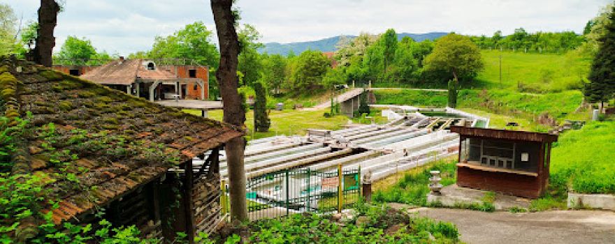 Gornji Dušnik