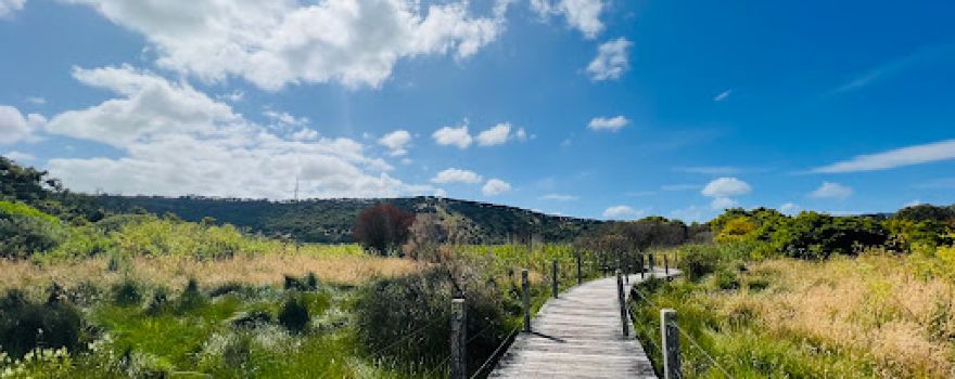 Tower Hill Lookout