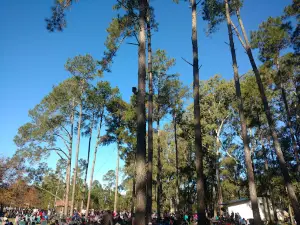 Parque Municipal Los Pinos