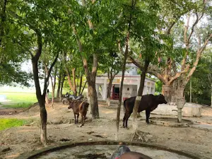 Seeta Mata Dham