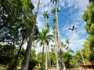 Jardim velho