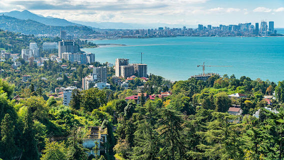 Botanical Garden View Point