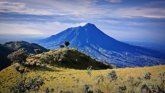 Basecamp Merbabu Selo