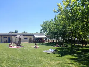 Piscina Municipal