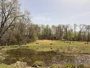 McLane Park