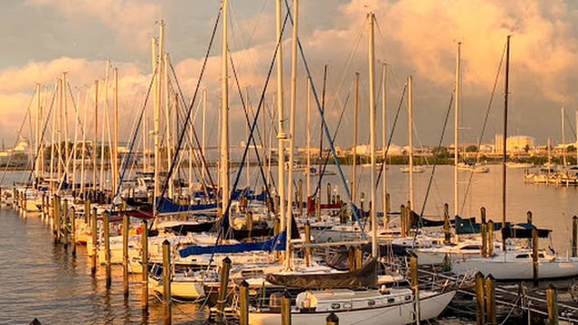 Davis Island Yacht Club