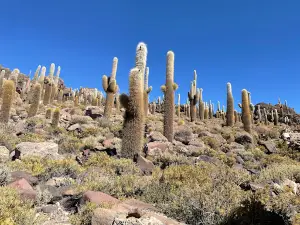 Ojos del Salar