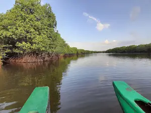Eco tourism center - Lagoon safari urani whiskey point