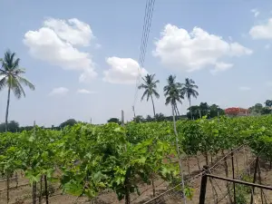 Waifale Bus Stand वायफळे बस थांबा