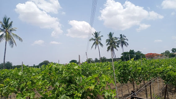Waifale Bus Stand वायफळे बस थांबा