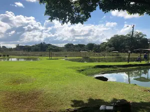 Pesqueiro Charruá
