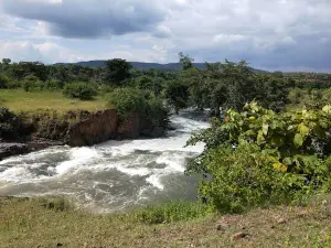 Bargi Left Bank Canal