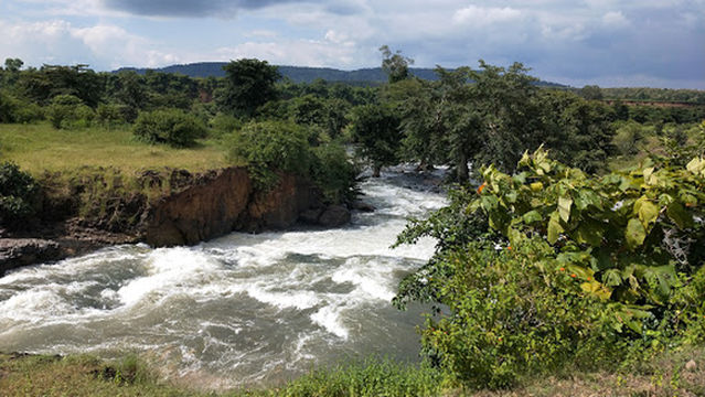 Bargi Left Bank Canal