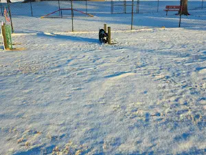 Harmon Park