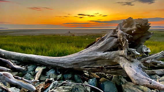 Coastal Trail - Elderberry Park