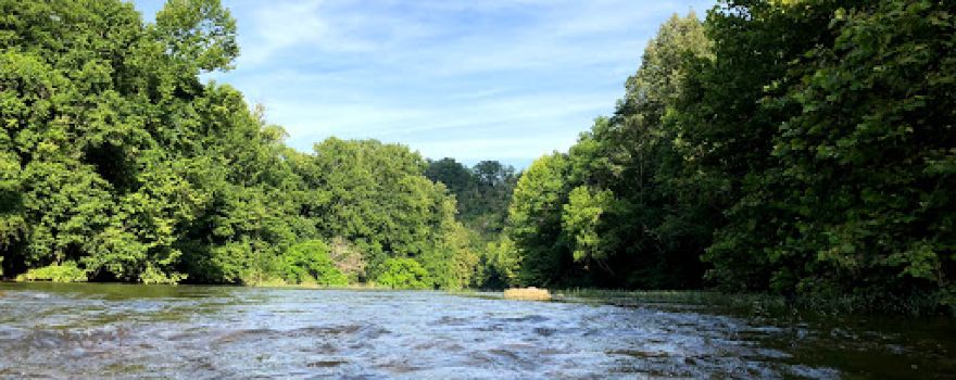 Chessie Nature Trail