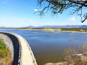 Cedro's Dam