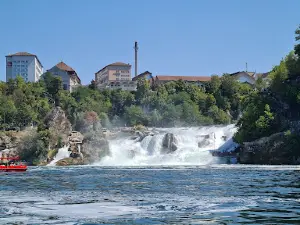 Rhine Falls Viewpoint