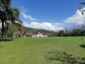 CATIE Botanical Garden