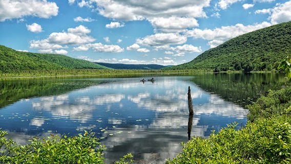Labrador Hollow Unique Area