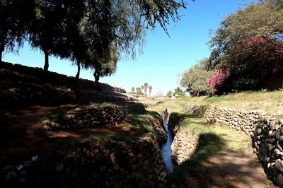 Acueductos de Cantalloc