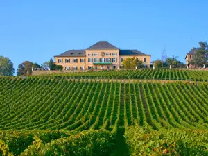 Schloss Johannisberg