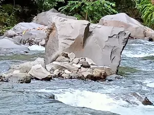 Niagara 2 Oi Marai