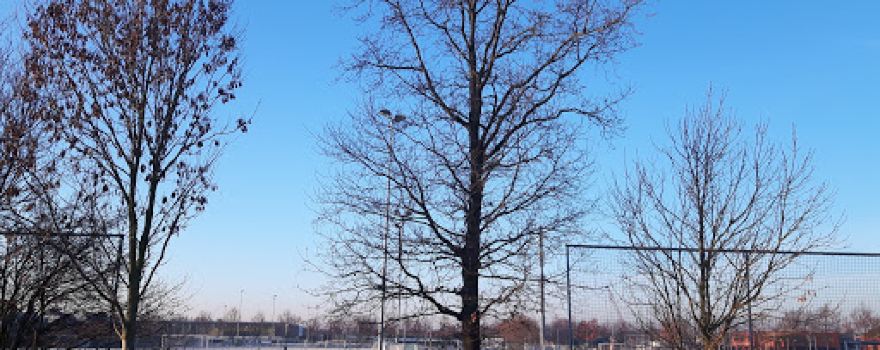 SV Nootdorp