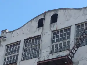Novopistsovskiy, L'nokombinat