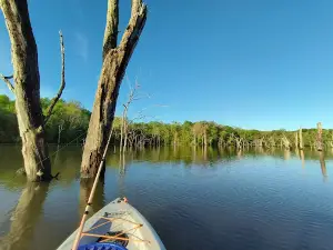 Maple Leaf Lake Conservation Area