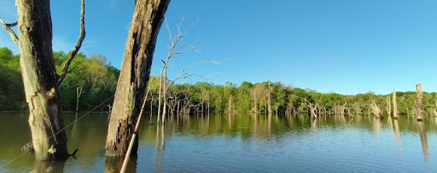 Maple Leaf Lake Conservation Area